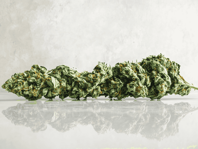 A modern living room featuring a deep sectional sofa with vibrant throw pillows